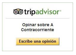 TripAdvisor